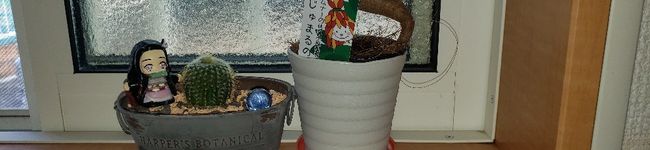 まるまるの料理's header image