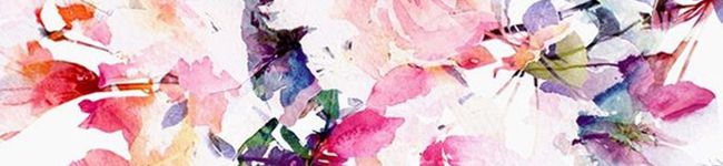 sanari320's header image
