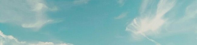 いちご。はる。's header image