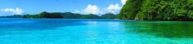 Avi♡'s header image