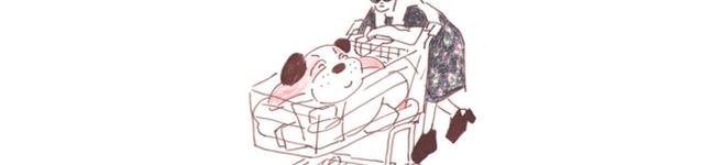 トトロ姉ちゃん's header image