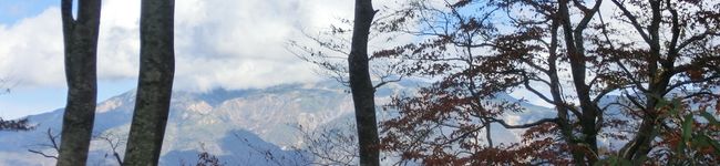 ラッキーグランマ's header image