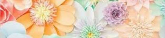 テティパ's header image