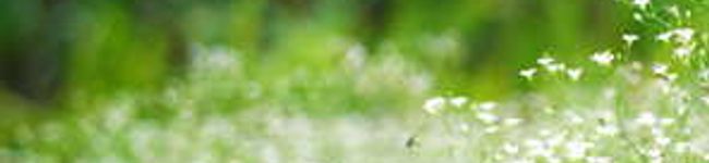taccyo's header image