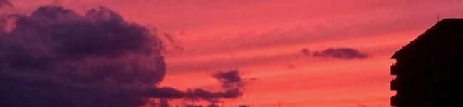 noteforMe◇'s header image