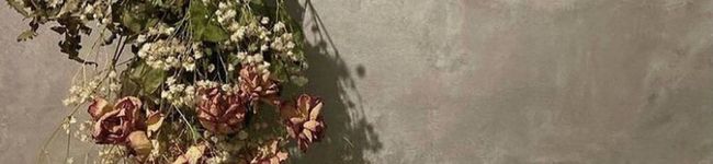 nnk080808's header image