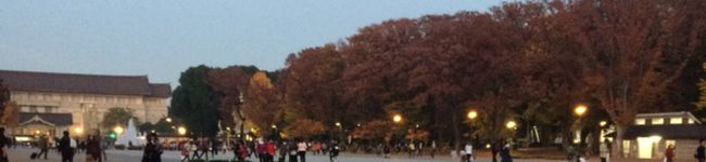 えみいごさん's header image