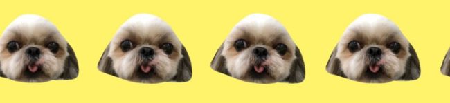 ひとんぽ's header image