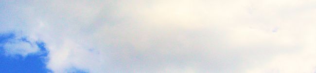 chibimiyu's header image