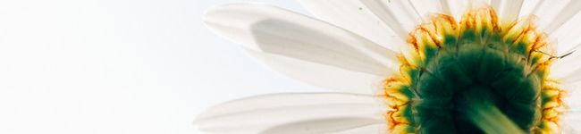 uwb's header image