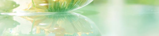 mamita's header image