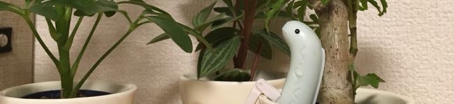 Chimuni33's header image