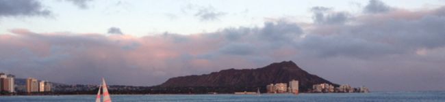 鰆鯨鰆's header image