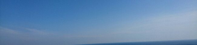 さつまいも‼'s header image