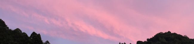 ☆みほ☆MK's header image