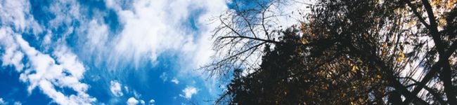 クックYSR813☆'s header image