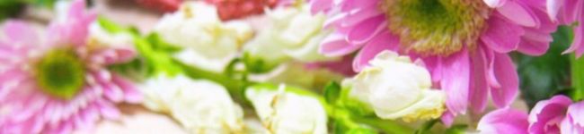 ruriko12's header image