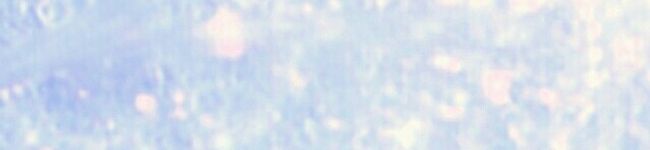 りんご＆さくら♡'s header image
