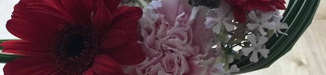 天使の花's header image