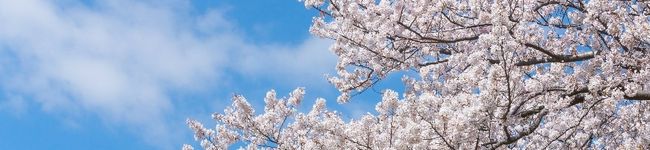 ⭐とっくん⭐'s header image