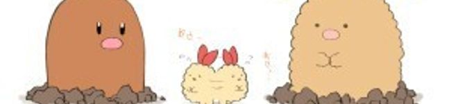 ☆すみっコ☆'s header image