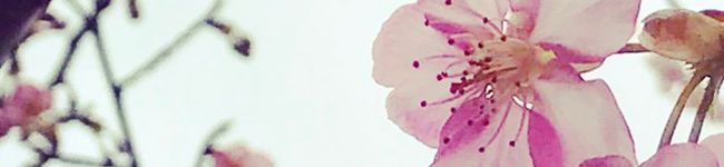 こゆり0204's header image
