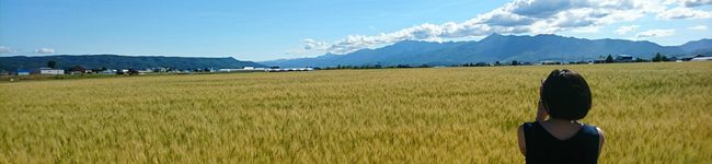 erco321's header image