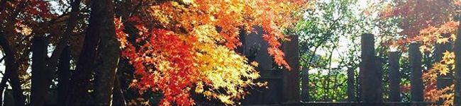 megumi910's header image