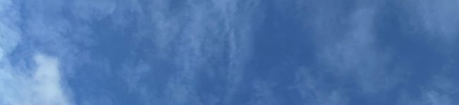 aloha33md's header image