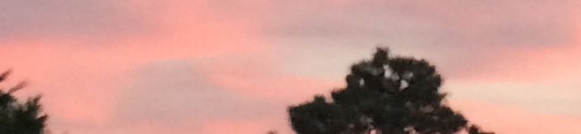 ふぁにゃぽ2's header image