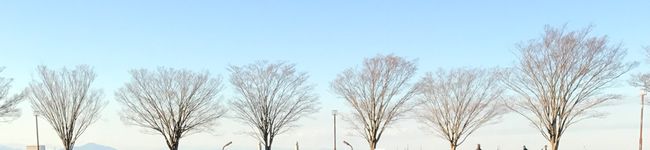 ◆くわのみ◆'s header image