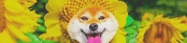 元野球マネ高校生's header image