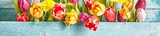 花笑みキッチン's header image