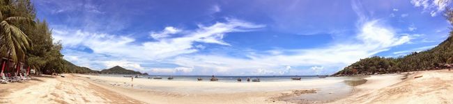 Tropica's header image