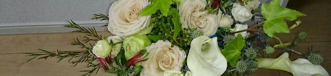 オジョー♪'s header image