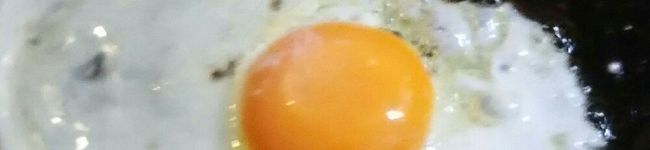 信長さん's header image