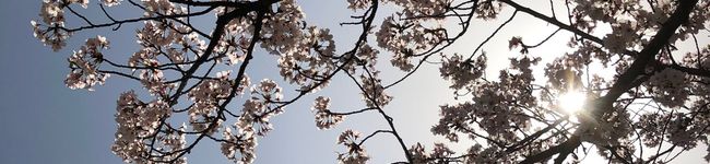 イタさん555's header image