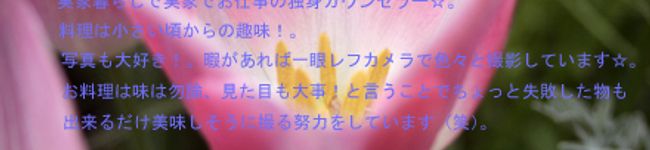 miki-taka's header image