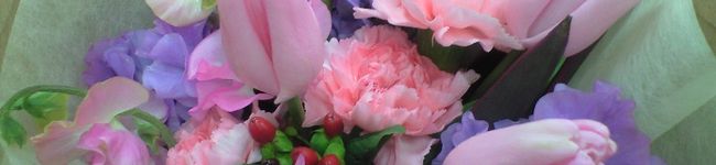 snowk's header image