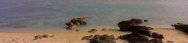 たっぷリン's header image