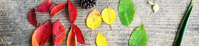 ayasuke_1's header image