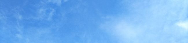 にゃんちゃ♪'s header image