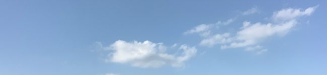 おひとりさま食堂's header image