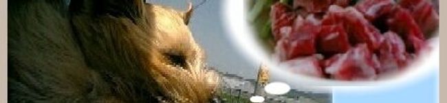 ノーリッチ's header image