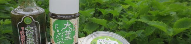 株式会社出来商店's header image