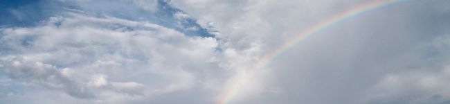 4983ryo's header image