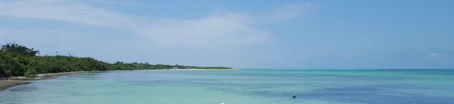 IhcsoJ☆'s header image