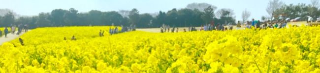 akitchen15's header image