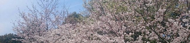 nonnnn2630's header image