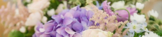 Royce0925's header image